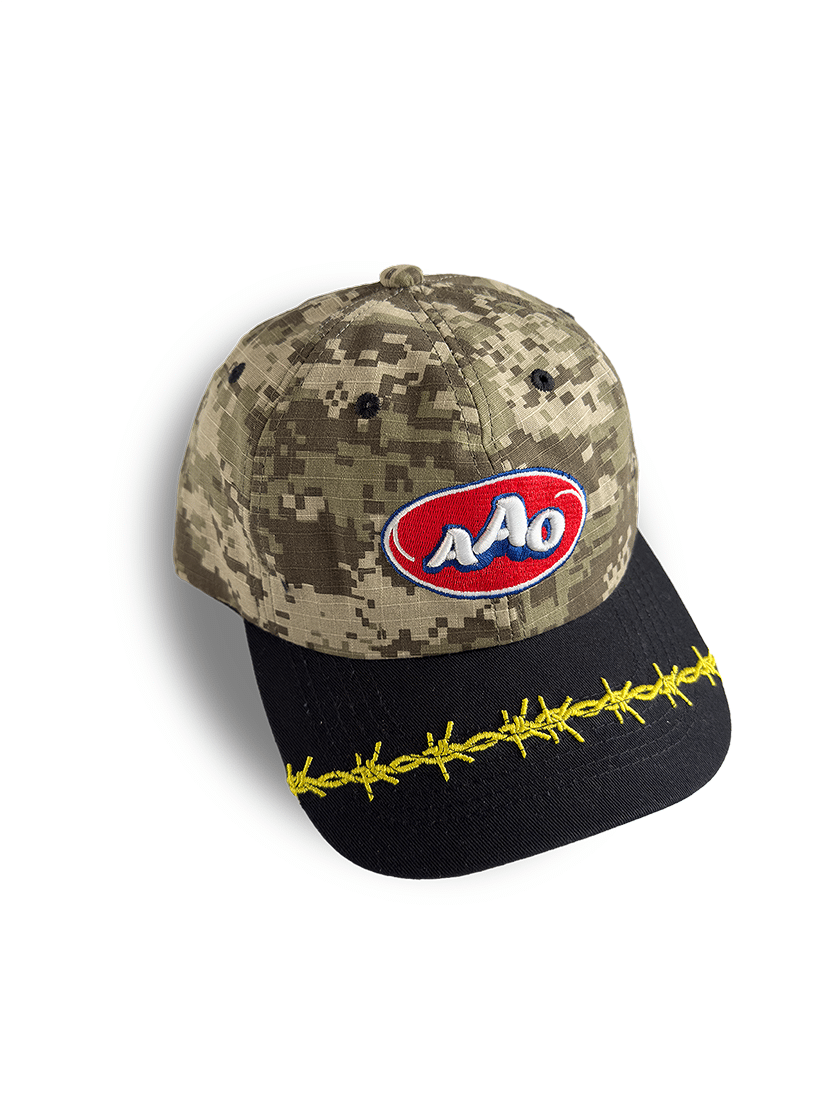 Digicamo 6-Panel Cap