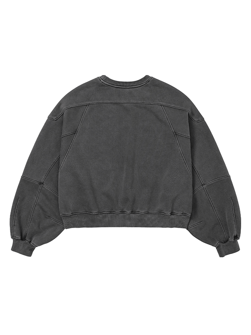 Vintage Panel Cropped Sweatshirt