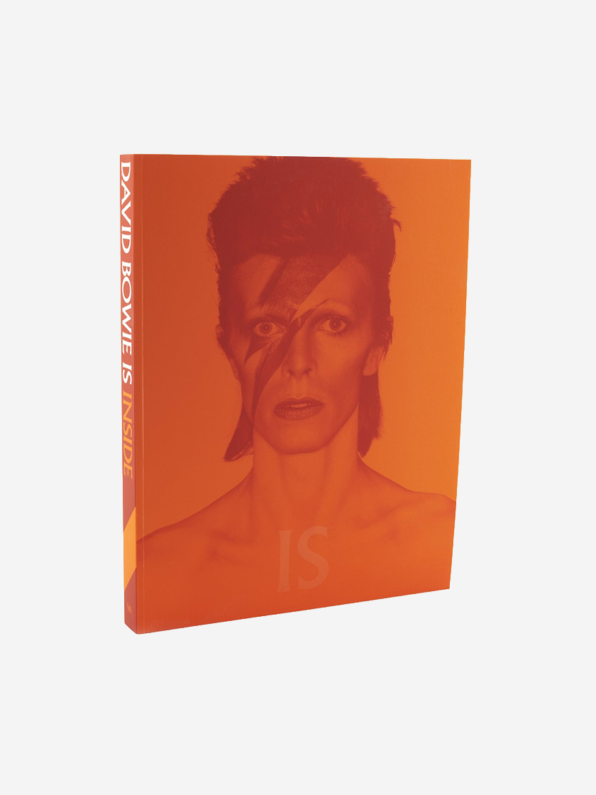 David Bowie Is