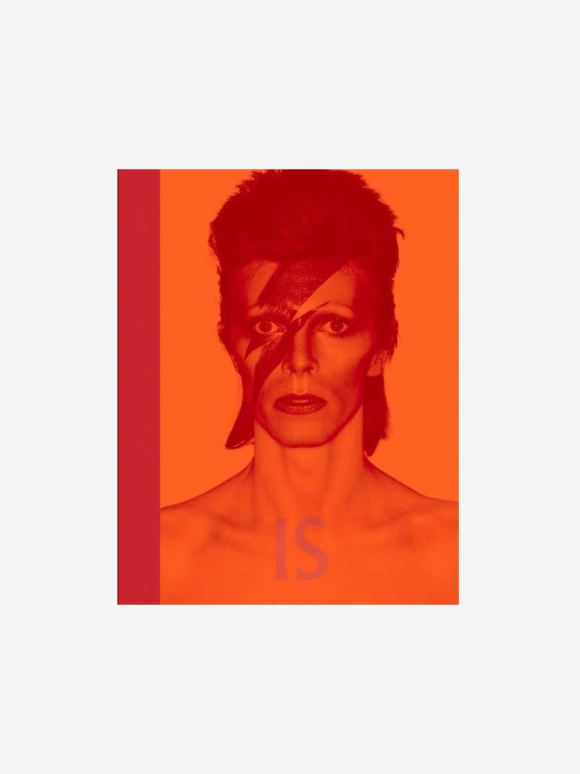 David Bowie Is